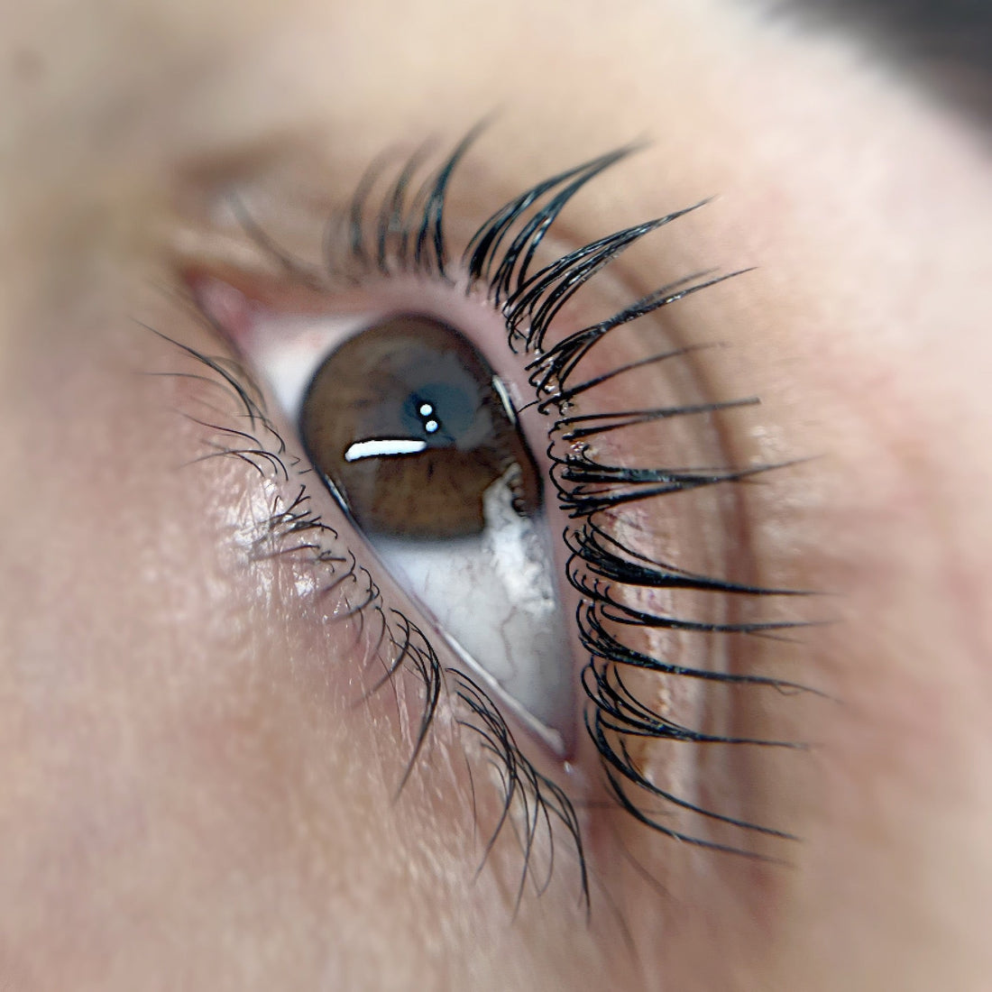 How Long Does a Lash Lift Last?